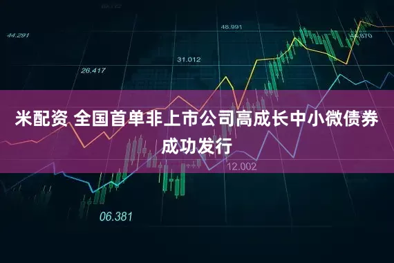 米配资 全国首单非上市公司高成长中小微债券成功发行