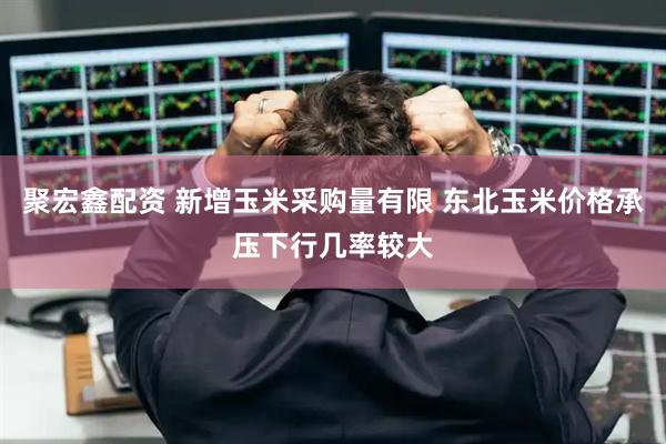 聚宏鑫配资 新增玉米采购量有限 东北玉米价格承压下行几率较大