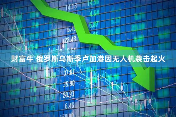 财富牛 俄罗斯乌斯季卢加港因无人机袭击起火