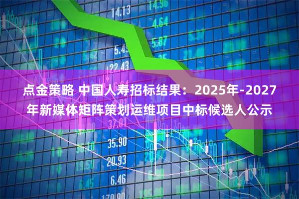 点金策略 中国人寿招标结果：2025年-2027年新媒体矩阵策划运维项目中标候选人公示