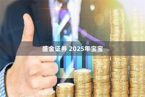 盛金证券 2025年宝宝
